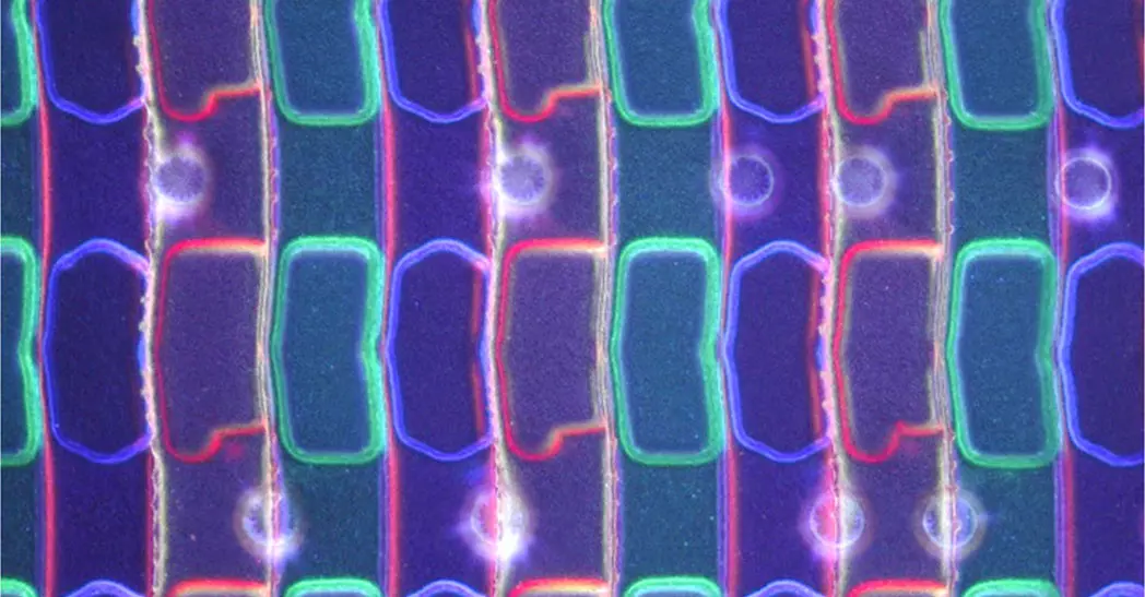 2D/3D Profiler | AI Defect Metrology